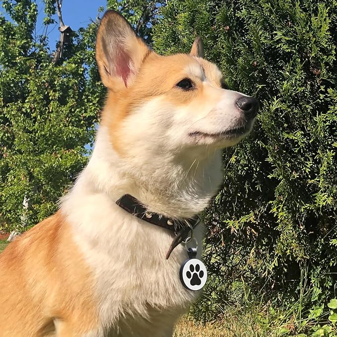 MYLUCKYTAG Silent Silicone QR Code Pet ID Tags Dog Tags - Pet Online Profile - Scan QR Receive Instant Pet Location Alert Email