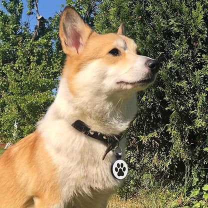 MYLUCKYTAG Silent Silicone QR Code Pet ID Tags Dog Tags - Pet Online Profile - Scan QR Receive Instant Pet Location Alert Email