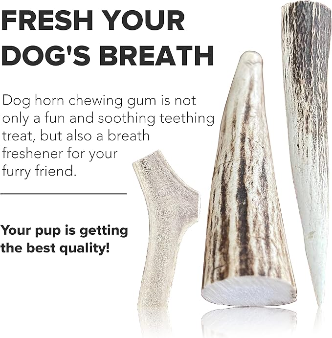 Split Elk Antlers for Dogs - Naturally Shed Split Antlers for Dogs - No Artificial Colors Split Dog Antlers - Long-Lasting Split Elk Antler - Premium Dog Antler Chews (Medium, 6 inches)