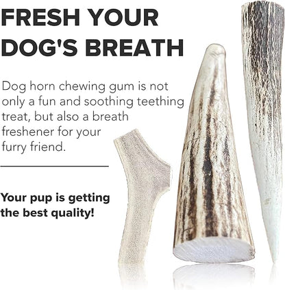 Split Elk Antlers for Dogs - Naturally Shed Split Antlers for Dogs - No Artificial Colors Split Dog Antlers - Long-Lasting Split Elk Antler - Premium Dog Antler Chews (Medium, 6 inches)