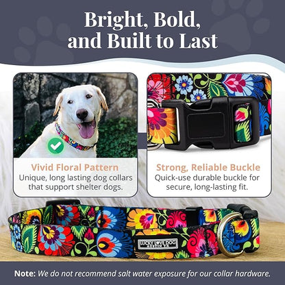 Lucky Love Dog - Adjustable Dog Collar with Easy Click Buckle for Small to Large Dogs, Durable, & Comfortable Collar for Male & Female Dogs, Pet Collar for Puppies & Adult Dogs - Blackbird, Large