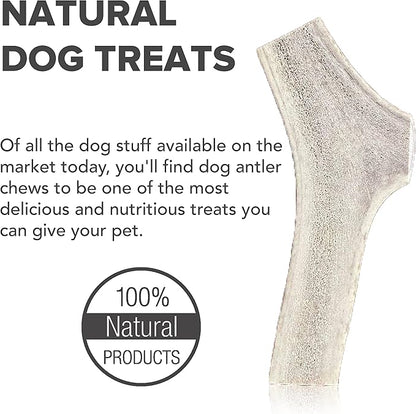 Split Elk Antlers for Dogs - Naturally Shed Split Antlers for Dogs - No Artificial Colors Split Dog Antlers - Long-Lasting Split Elk Antler - Premium Dog Antler Chews (Medium, 6 inches)