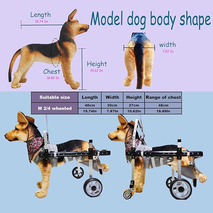 Dog Wheelchair,Lightweight Aluminum Frame with Handle,Extended Leg Straps,Includes Leash,Fits Pugs,French Bulldogs,and Schnauzers（Middle Size）/Beagle,Corgi,and Cocker Spaniel（Large Size）
