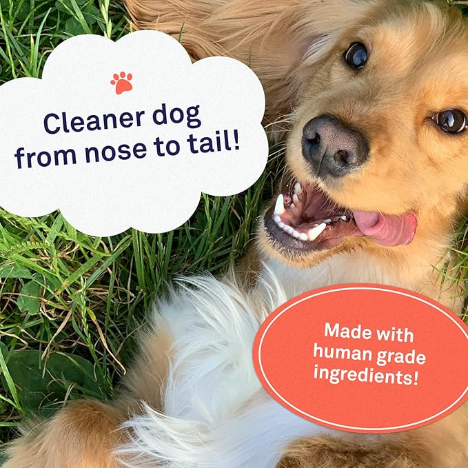 Petpost | Waterless Argan Shampoo Spray for Dogs with Sensitive Skin - Naturally Nourishing Coat Cleaner & Deodorizer for Healthier, Shinier Fur - Rinse Free Formula 8 oz.