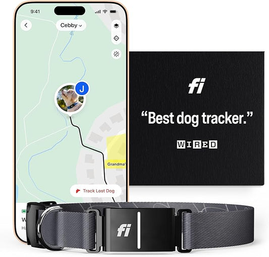 Fi Series 3 Smart Dog Collar - GPS Dog Tracker and Activity & Fitness Monitor, Waterproof, LED Light, Escape Alerts, Nationwide Coverage [Free 6 Month Membership] (Gray, Small)