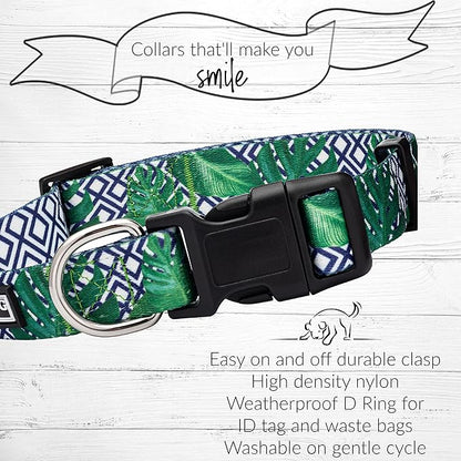 Lucky Love Dog Collar and Leash Set, Beautiful & Vivid Patterns, Easy On & Off Clasp Accessory (Blue Laguna, XS Combo)