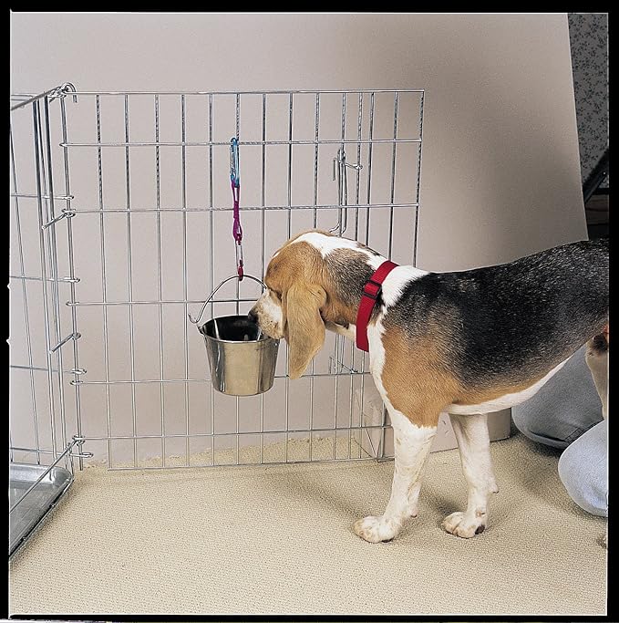 ProSelect Stainless Steel Flat Sided Pails — Durable Pails for Fences, Cages, Crates, or Kennels - 8¾", 6-Quart