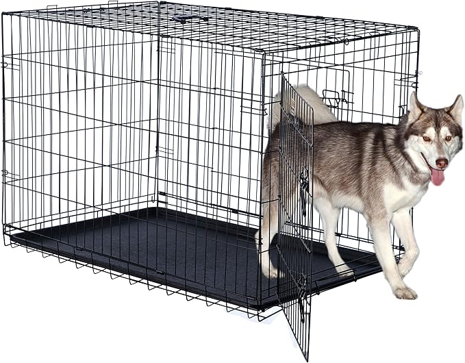 Pet Trex 42" Folding Pet Crate Double Door Kennel Wire Cage for Dogs, Cats or Rabbits