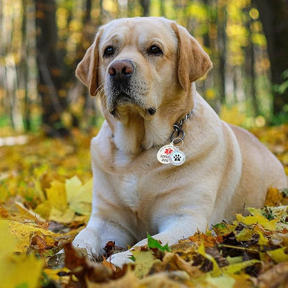 Dog Tags Personalized QR Code and in Training Dog Tags, Modifiable Pet Online Profile, Multiple Emergency Contact, Scan QR Code Send Pet GPS Location Email