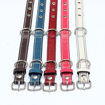 Premium Leather Collars with Stainless Steel Buckles (9"-12", Chocolate)