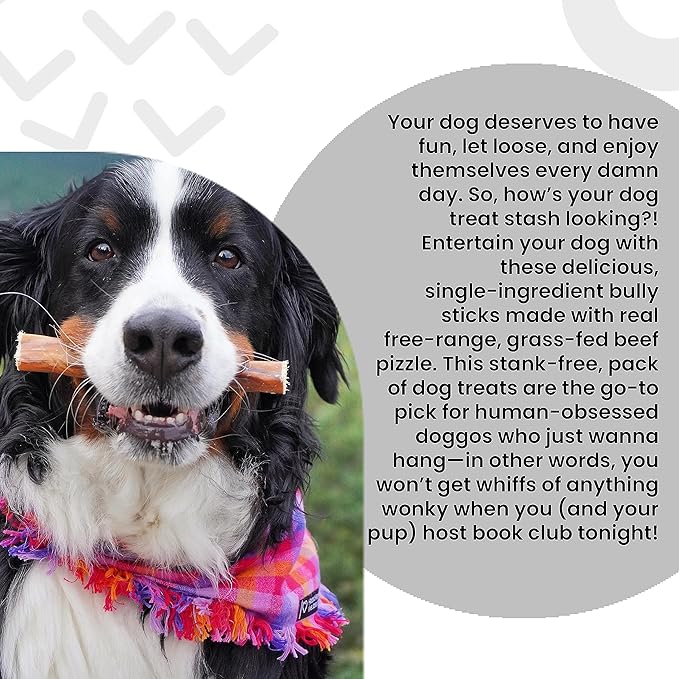 I AND LOVE AND YOU Free Ranger Braided Bully Stix - Beef - Rawhide Alternative, Single Ingredient, Free Range Grass Fed Beef, 6in, 3ct