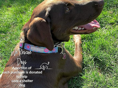Lucky Love Dog, Boho Chic Dog Collar for Girl Boy Dogs, Vivid Pink and Turquoise Collar for Dogs, Comfortable, Soft, Cute Collars - (Large, Clara Collar)