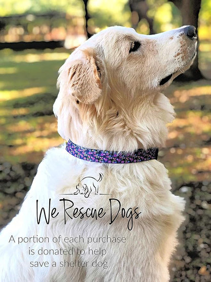 Lucky Love Dog Martingale Collar, Premium No Slip Collar for Medium Dogs, Flower Martingale Collar for Girl Dogs, Great for Whippets, Greyhounds, and More (Primrose, Medium)