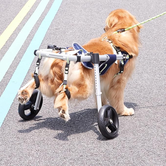VEVOR 2 Wheels Dog Wheelchair for Back Legs