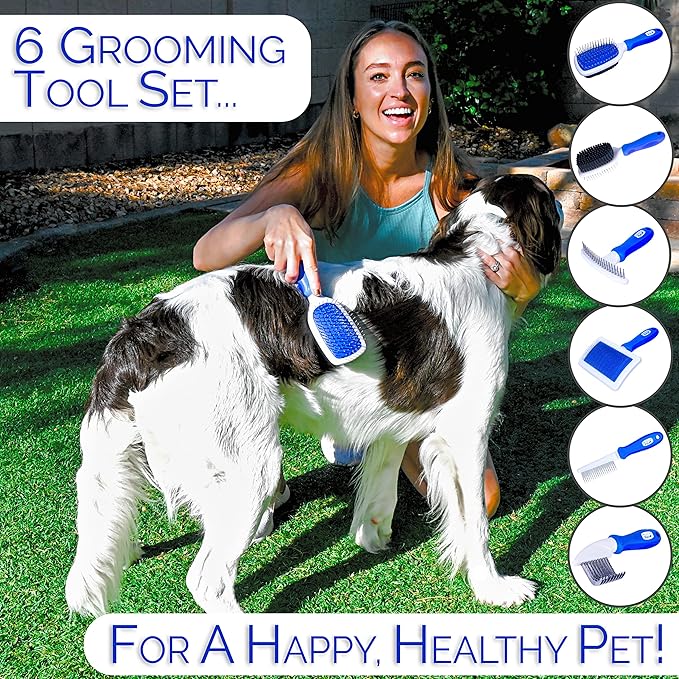 6 In 1 Premium Dog Brush Set - Dog Grooming Brushes - Ball Pin & Bristle Brush, Curved Blade Dematting Comb, Slicker Brush, Deshedding Edge Comb, Detangling Pet Comb