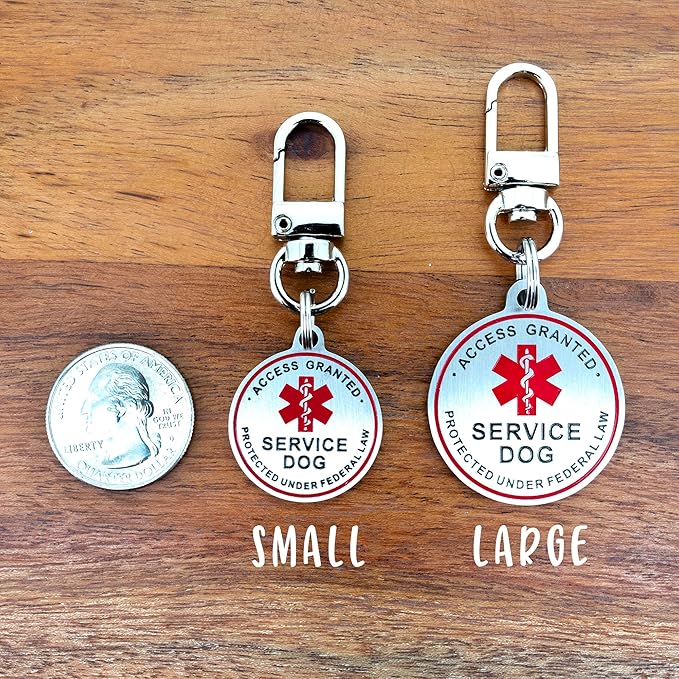 Service Dog ID Tag for Small & Large Dogs - Emotional Support ESA Medical Alert Collar Accessory - Durable Stainless Steel Service Animal Tag - Don't Pet Me Service Tag in Silver Small