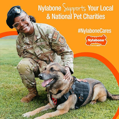 Nylabone Puppy Teething & Soothing Flexible Chew Toy Chicken Pink X-Small/Petite - Up to 15 lbs. (1 Count)