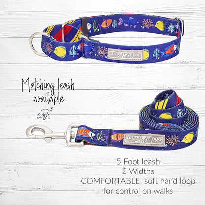 Lucky Love Dog Martingale Collar, Blue Color No Slip Collars for Medium Dogs, Tropical Fish Pattern Martingale Dog Collar, Great for Whippets, Greyhounds, and More (Mackey, Medium)