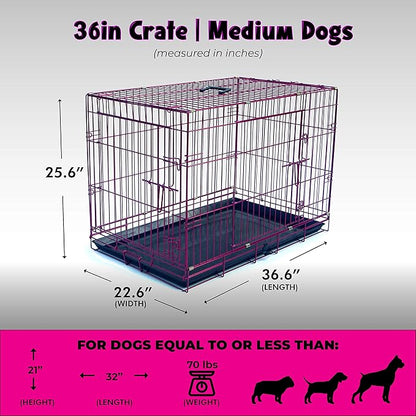 PET Expressions Luxury Colorful 36 Inch Foldable Dog Crate with 2 Doors | Free Training Ebook and Pet Calming Music | 3 Colors & 3