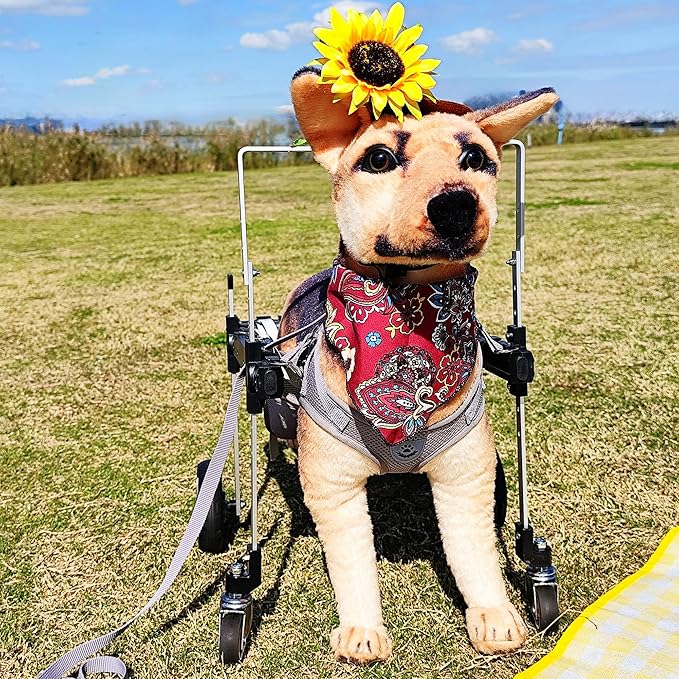 Dog Wheelchair,Lightweight Aluminum Frame with Handle,Extended Leg Straps,Includes Leash,Fits Pugs,French Bulldogs,and Schnauzers（Middle Size）/Beagle,Corgi,and Cocker Spaniel（Large Size）