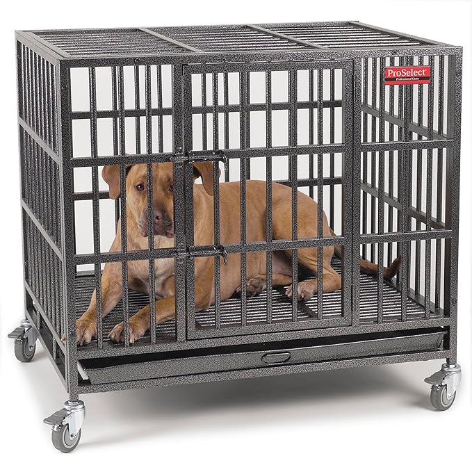 Pro Select Empire Cage - LARGE