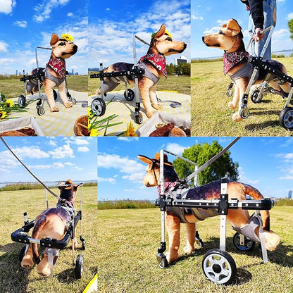 Dog Wheelchair,Lightweight Aluminum Frame with Handle,Extended Leg Straps,Includes Leash,Fits Pugs,French Bulldogs,and Schnauzers（Middle Size）/Beagle,Corgi,and Cocker Spaniel（Large Size）