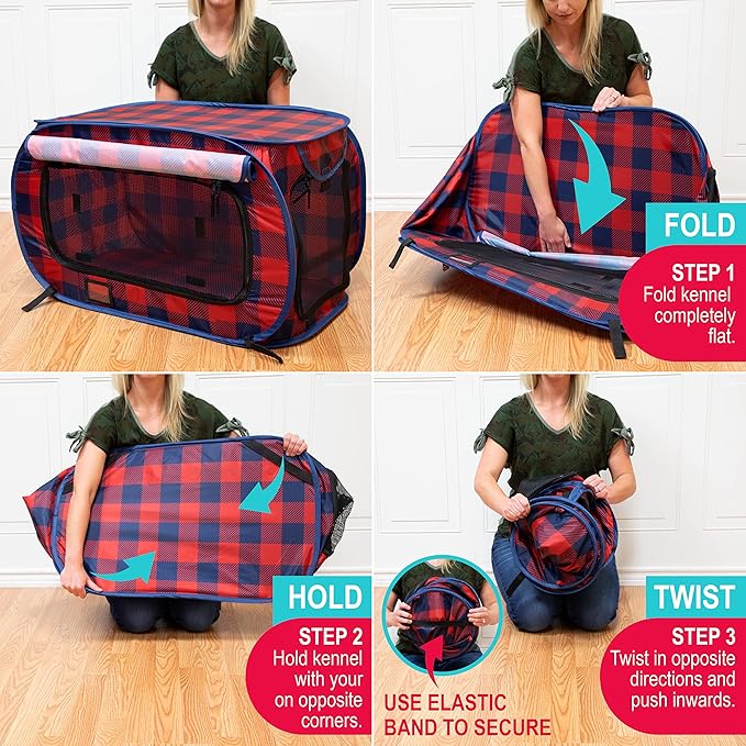 Annual Holiday Carrier