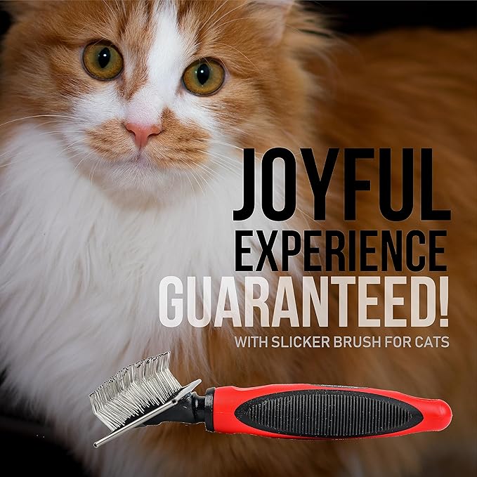 Mini Brush for Dogs and Cats - Coated Tips Massage Skin - Long Pins Remove Mats, Tangles in Long and Poodle Fur