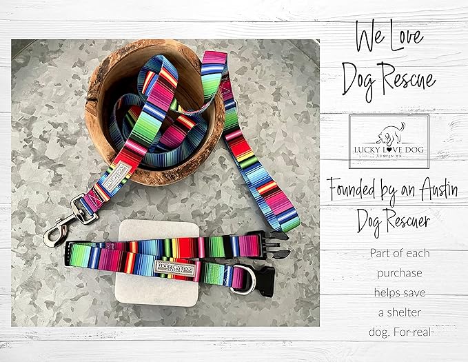 Lucky Love Dog Collars, Rainbow Striped Dog Collar for Big Dogs, Vivid Pattern Girl or Boy Dog Collars, Nacho, Extra Large