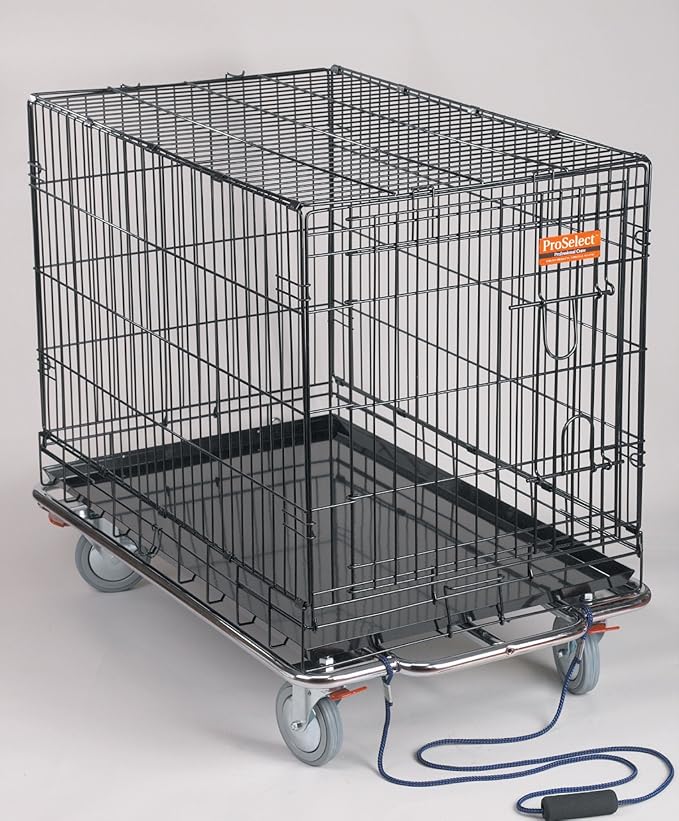ProSelect Kennel Karts — Heavy-Duty Steel Chrome Carts with Wheels Designed to Move Kennel Cages Around Grooming Shops, Animal Clinics, Shelters, or Rescues