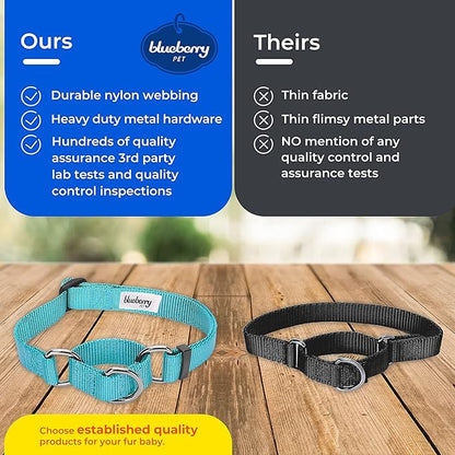 Blueberry Pet Essentials Martingale Safety Training Dog Collar, Black, Small, Heavy Duty Nylon Adjustable Collars for Dogs