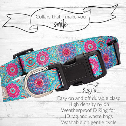 Lucky Love Dog, Boho Chic Dog Collar for Girl Boy Dogs, Vivid Pink and Turquoise Collar for Dogs, Comfortable, Soft, Cute Collars - (Mediuml, Clara Collar)