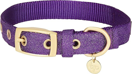 Blueberry Pet 6 Colors The Most Coveted Designer Mixed Metallic Thread Adjustable Dog Collar in Dazzling Tinsel Purple with Metal Buckle, Neck 9-12.5", for Small Breed