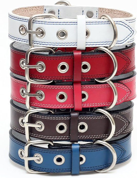 Premium Leather Collars with Stainless Steel Buckles (21"-24", Blue)