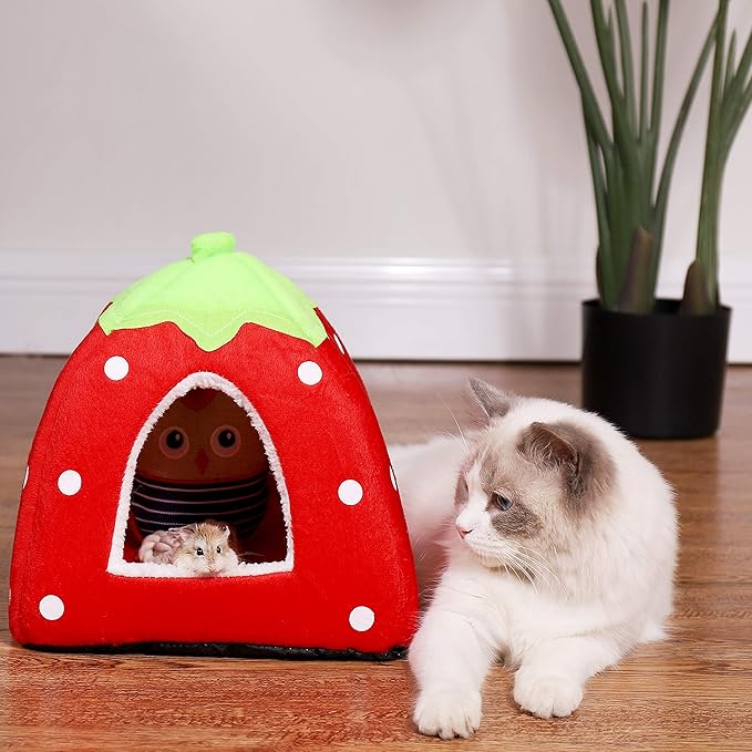 Spring Fever Hamster Guinea Pig Rabbit Dog Cat Chinchilla Hedgehog Bird Small Animal Pet Bed House Hideout Cage Accessorie B Red XS