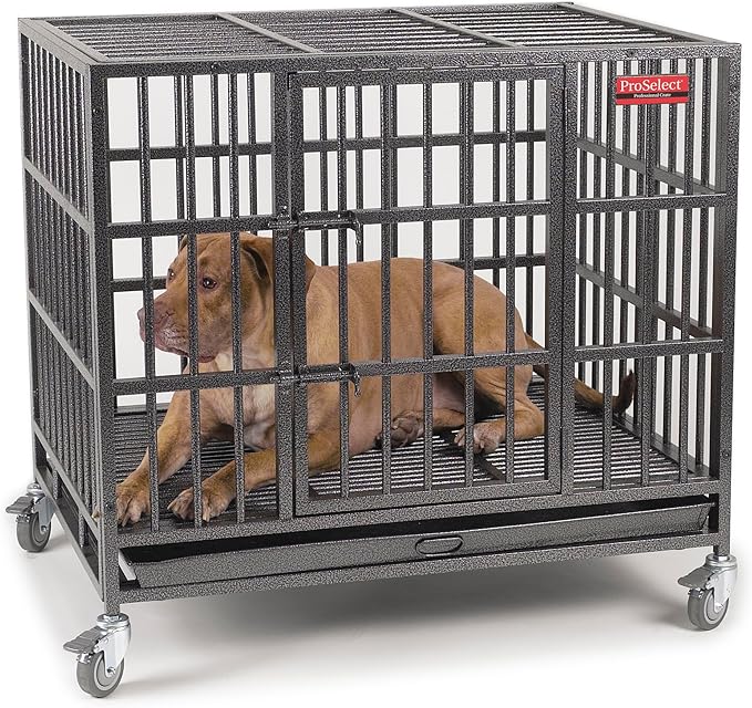 Pro Select Empire Cage - LARGE