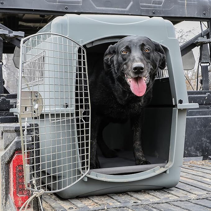 Momarsh Low Profile Dog Cot for Kennels, Crates, Boats & Layout Binds | Comfortable Low Profile Platform & Frame Fits in Most Medium Kennels