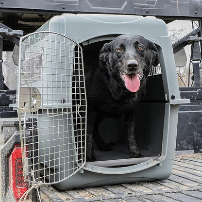 Momarsh Low Profile Dog Cot for Kennels, Crates, Boats & Layout Binds | Comfortable Low Profile Platform & Frame Fits in Most Medium Kennels