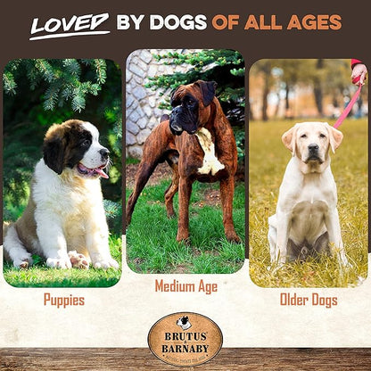 100% Natural Whole Pig Ear Dog Treat - 12 Pack Our Healthy Pig Ears Are Easy To Digest, Chemical & Hormone Free Thick Cut For Aggressive Chewers, Great Small Or Large Dogs