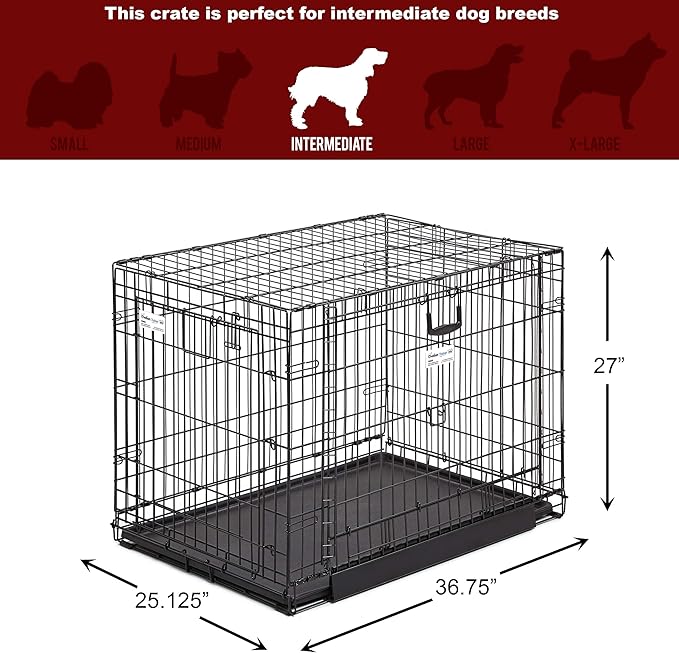MidWest Homes for Pets Ovation Double Door Dog Crate, 36-Inch