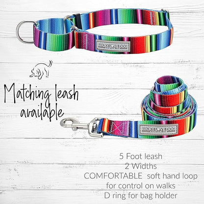 Lucky Love Dog Martingale Collar, Premium No Slip Collar, Colorful Striped Martingale Dog Collar for Small Dogs, Great for Whippets, Greyhounds, and More (Small, Nacho)