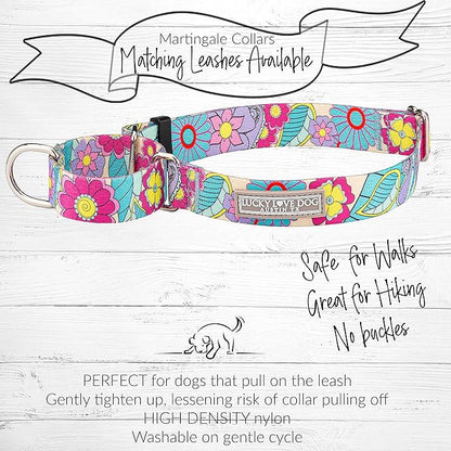 Lucky Love Dog Martingale Collar and Leash Set, Premium No Slip Martingale Collar for Large Dogs, Great for Whippets, Greyhounds, and More (Caroline, Large - Combo)