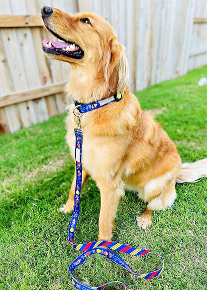Lucky Love Dog Combo Set, Tropical Fish Dog Leash and Collar Set, Blue Color Matching Dog Collar & Leash, Part of Purchase Donated to Rescue (Large, Mackey, Combo)