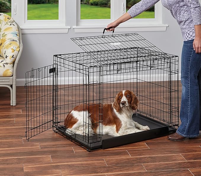 MidWest Homes for Pets Ovation Double Door Dog Crate, 36-Inch
