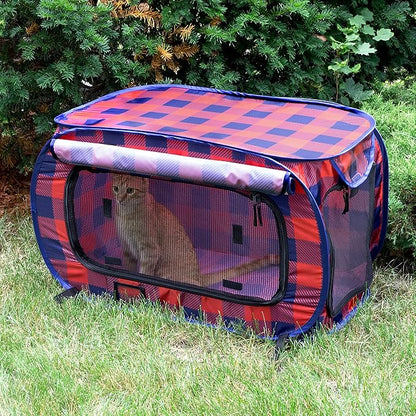 Annual Holiday Carrier