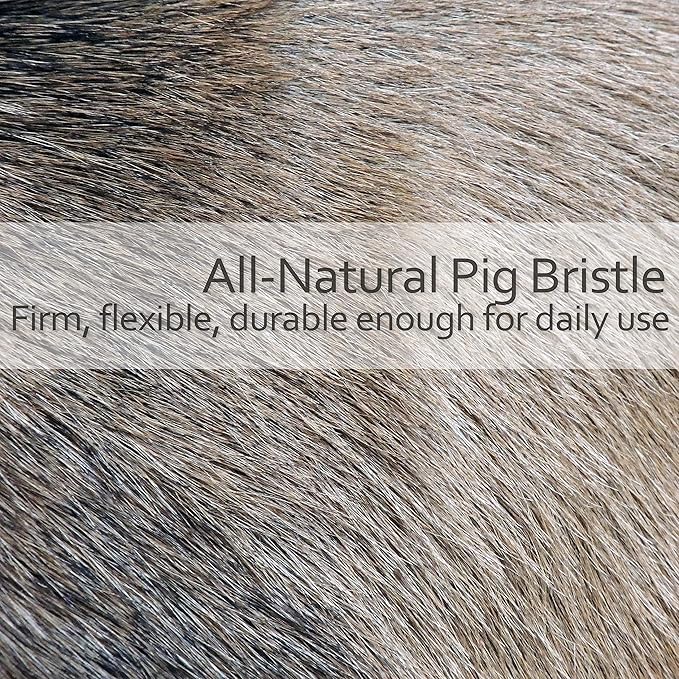 Redecker Natural Pig Bristle Dog Brush with Waxed Beechwood Handle, 9-1/4-Inches